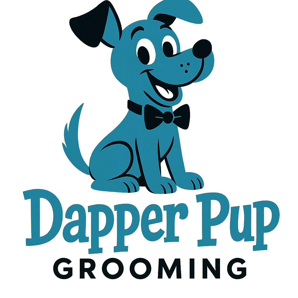 Car detailing logo
